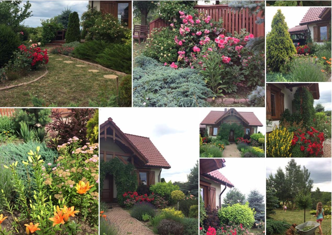 Ignacowka Guest House กอบีลากูรา ภายนอก รูปภาพ